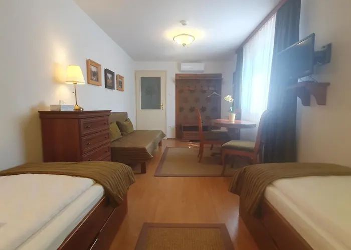 Csiszarhegyi Vadaszhaz Oda ve Kahvaltı Karád